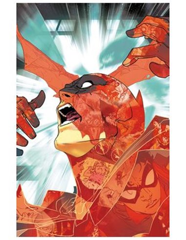 ALL IN BATMAN Y ROBIN 03