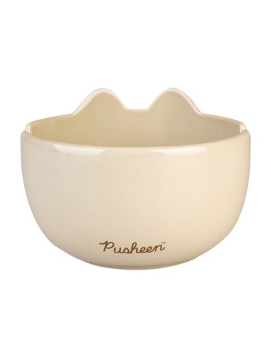 Bowl ramen Pusheen – cuenco ramen kawaii