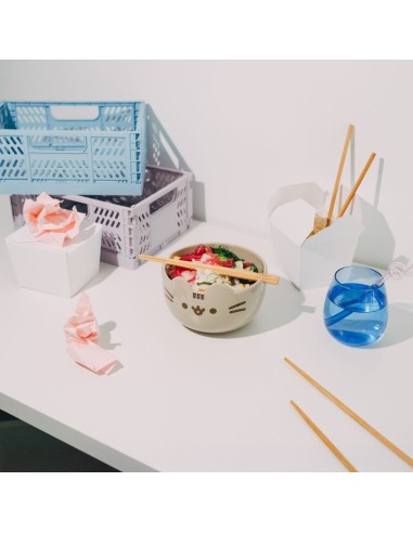 Bowl ramen Pusheen – cuenco ramen kawaii
