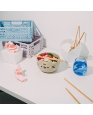 Bowl ramen Pusheen – cuenco ramen kawaii