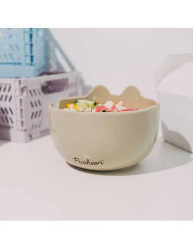 Bowl ramen Pusheen – cuenco ramen kawaii