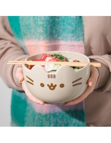 Bowl ramen Pusheen – cuenco ramen kawaii