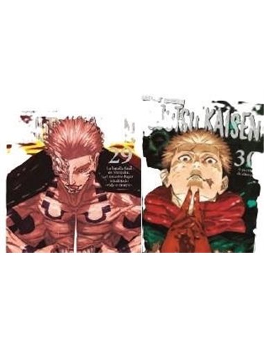 JUJUTSU KAISEN 29 Y 30 EDICION ESPECIAL