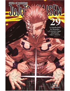 JUJUTSU KAISEN 29