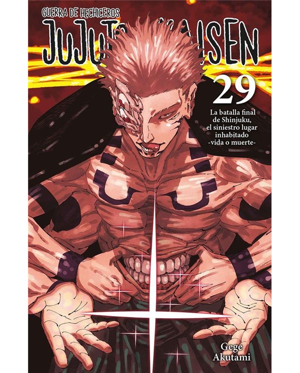 JUJUTSU KAISEN 29