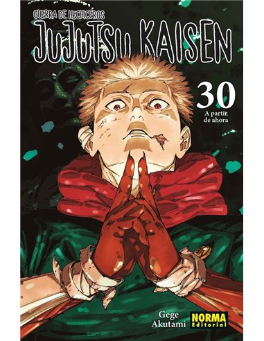 JUJUTSU KAISEN 30