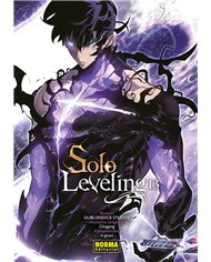 SOLO LEVELING 13