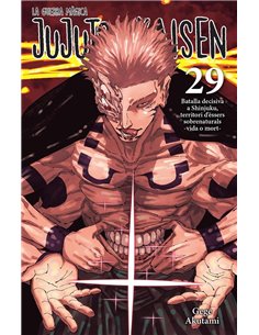 JUJUTSU KAISEN 29