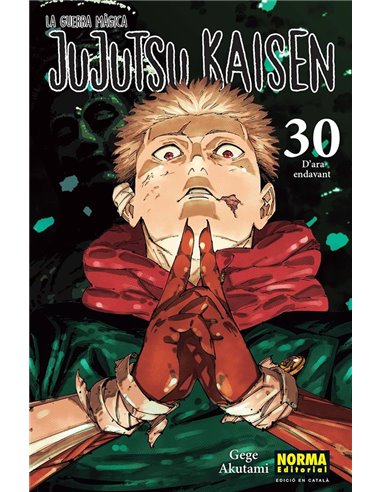 JUJUTSU KAISEN 30