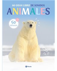 BRUÑO,,9788469643099,CONSTRUYE UN T REX,