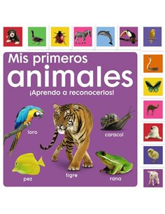 BRUÑO,,9788469668931,POP-UP DONDE ESTA SOMOS AMIGOS,