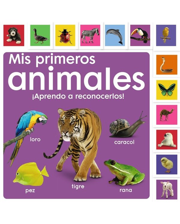 BRUÑO,,9788469668931,POP-UP DONDE ESTA SOMOS AMIGOS,