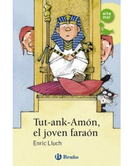 BRUÑO,,9788469667781,FISICA Y QUIMICA 3ºESO 3 VOLUMENES PROYECTO 5 ETAPAS 22,