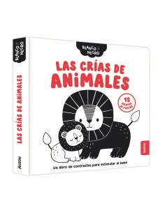 EDITORIAL AUZOU,,9791039576253,PANDILLA DE SUPERHEROES ESTUCHE DE ARTISTA,LA,