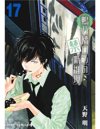 EL MISTERIO PROHIBIDO DE RON KAMONOHASHI 17