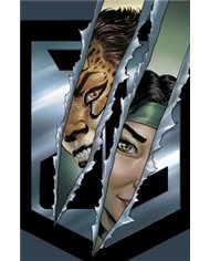 CHEETAH Y CHESHIRE ROBAN A LA LIGA DE LA JUSTICIA