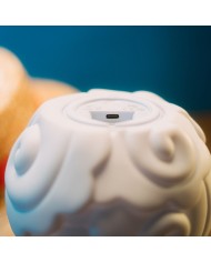 LAMPARA ONE PIECE NETFLIX FRUTA SMOKE-SMOKE 8435747825500