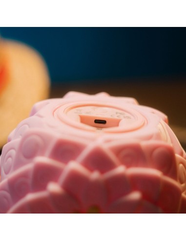 LAMPARA ONE PIECE NETFLIX FRUTA FLOWER-FLOWER 8435747825517