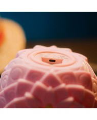 LAMPARA ONE PIECE NETFLIX FRUTA FLOWER-FLOWER 8435747825517