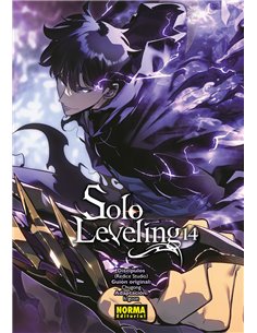 SOLO LEVELING 14