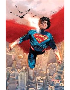 ABSOLUTE SUPERMAN 15