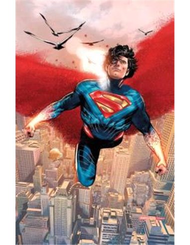 ABSOLUTE SUPERMAN 15