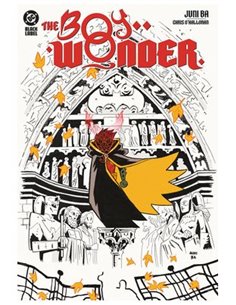 DC BLACK LABEL. THE BOY WONDER