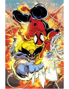 SPIDERMAN Y LOBEZNO 02