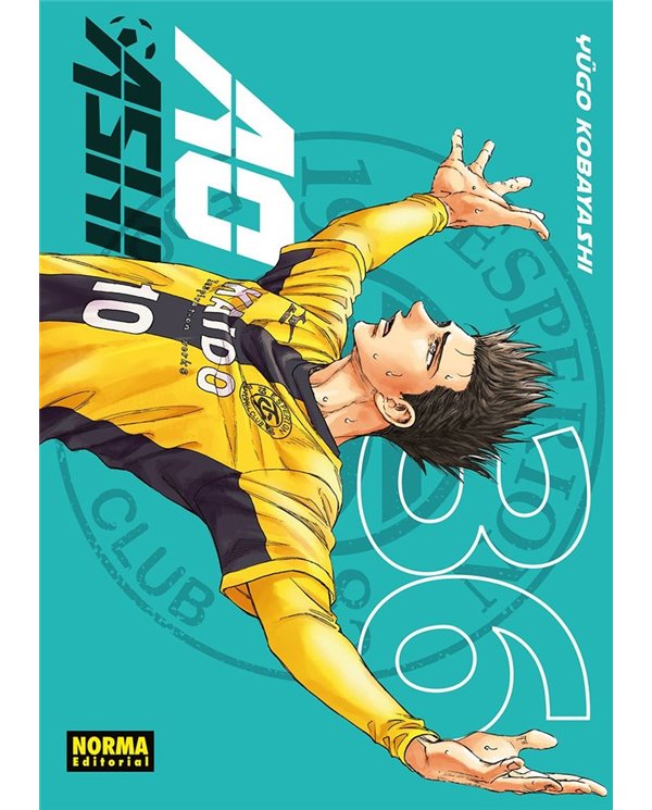 AO ASHI 36