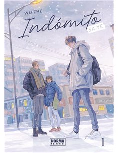 INDOMITO SA YE 1