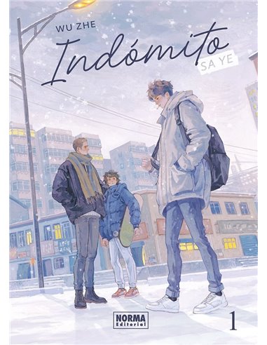 INDOMITO SA YE 1