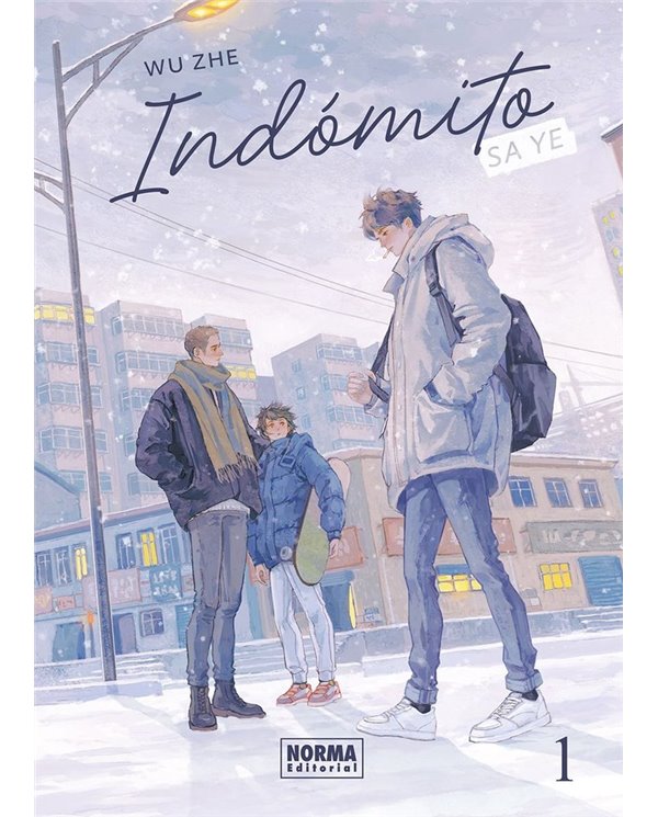INDOMITO SA YE 1