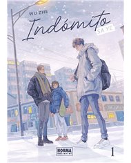 INDOMITO SA YE 1