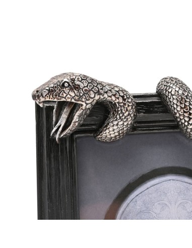 MARCO FOTOS NAGINI ARTES OSCURAS HARRY POTTER 5063322020380
