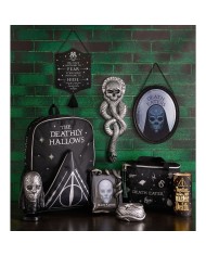MARCO FOTOS NAGINI ARTES OSCURAS HARRY POTTER 5063322020380