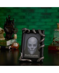 MARCO FOTOS NAGINI ARTES OSCURAS HARRY POTTER 5063322020380