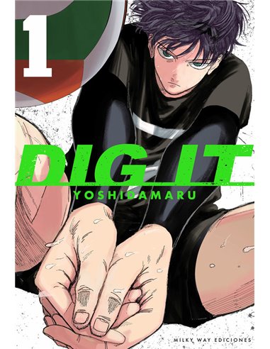 DIG IT 1