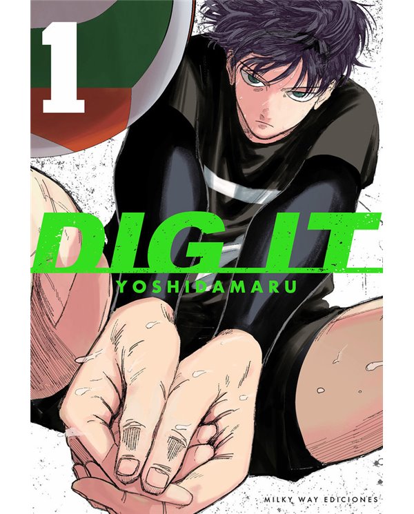 DIG IT 1