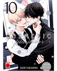 COSMETIC PLAY LOVER 10