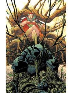 ABSOLUTE BATMAN 17