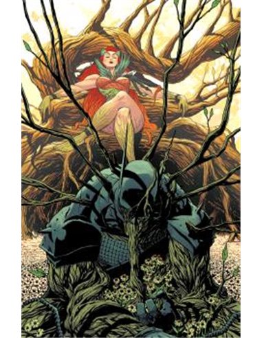 ABSOLUTE BATMAN 17