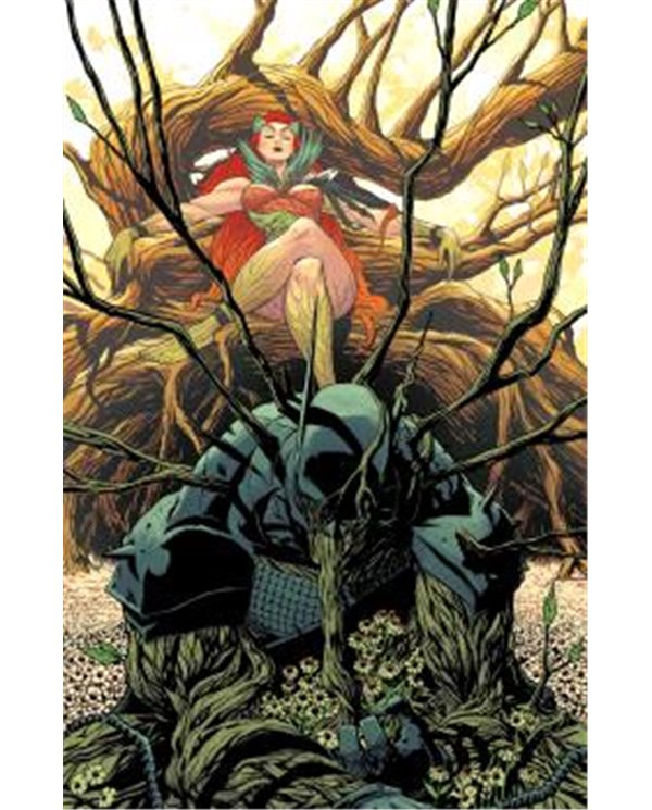 ABSOLUTE BATMAN 17