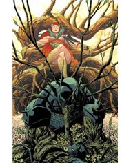 ABSOLUTE BATMAN 17