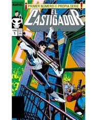 EL CASTIGADOR 01 (MARVEL LIMITED EDITION)