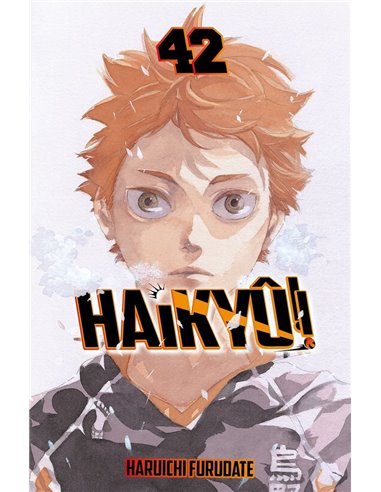 HAIKYE 42