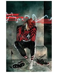 Portada de ABSOLUTE FLASH  13 de JEFF LEMIRE, PANINI , ISBN 977308159500000000