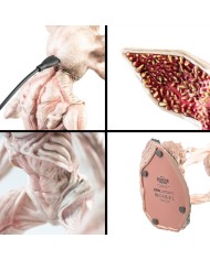 LAMPARA STRANGER THINGS - DEMOGORGON 8435497293826