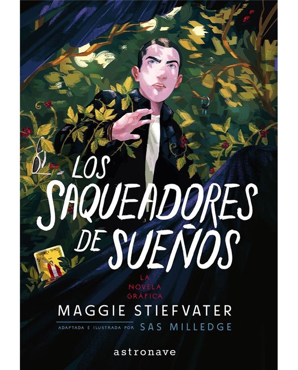 Portada de LOS SAQUEADORES DE SUEÑOS de MAGGIE STIEFVATE/SAS MILLEDGE, NORMA, ISBN 9788467985573