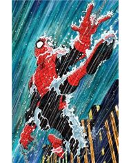 Portada de EL ASOMBROSO SPIDERMAN 14 (PORTADA ALTERNATIVA JOHN ROMITA JR) de JOE KELLY, PANINI, ISBN 9791370582531