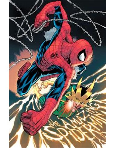 Portada de EL ASOMBROSO SPIDERMAN 13 de JOE KELLY, PANINI, ISBN 977301409400600000